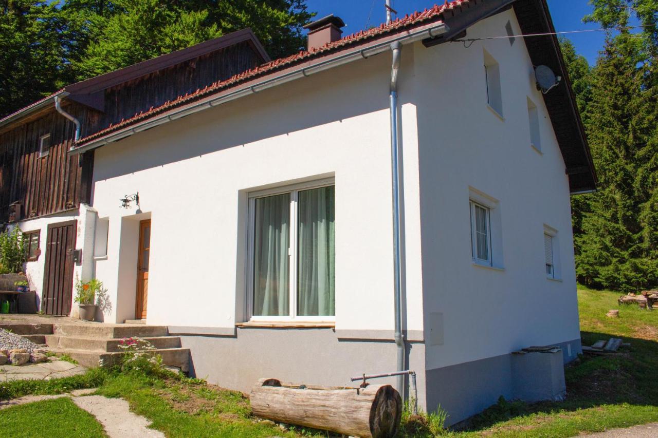 Ferienhaus Ploeckenstein Schwarzenberg am Bohmerwald Exterior photo